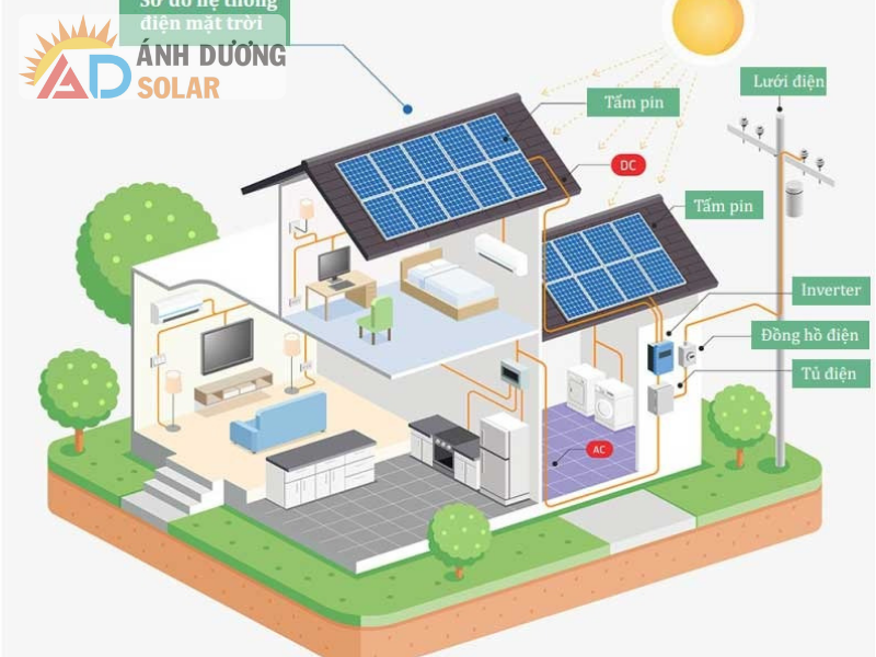 Dien-mat-troi-Go-Cong-Tay-Tien-Giang-1