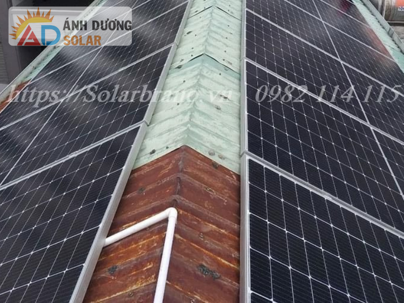 Lap-dat-dien-mat-troi-Cho-Gao-Tien-Giang