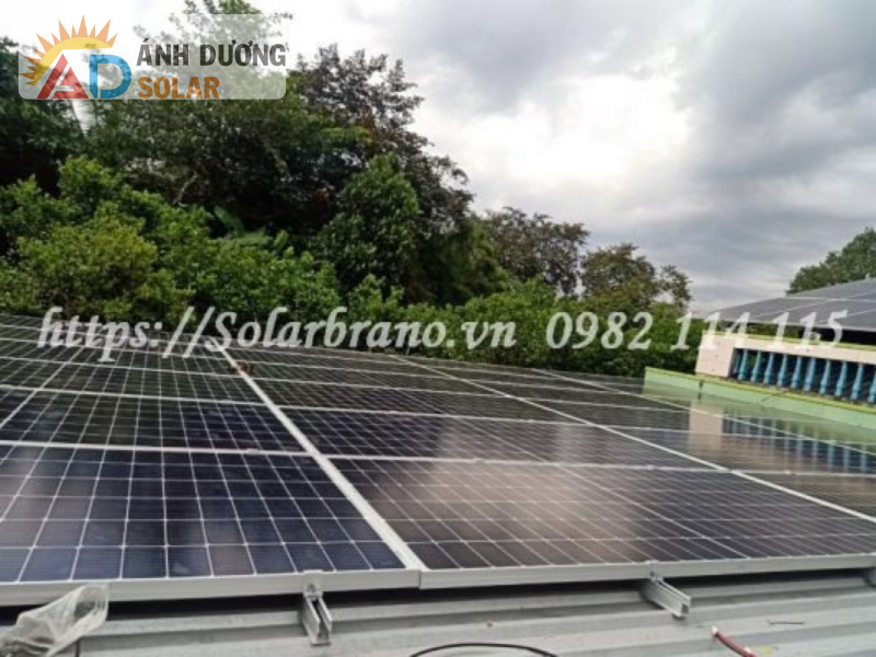 lap-dien-mat-troi-o-Thanh-Hoa-Long-An-1