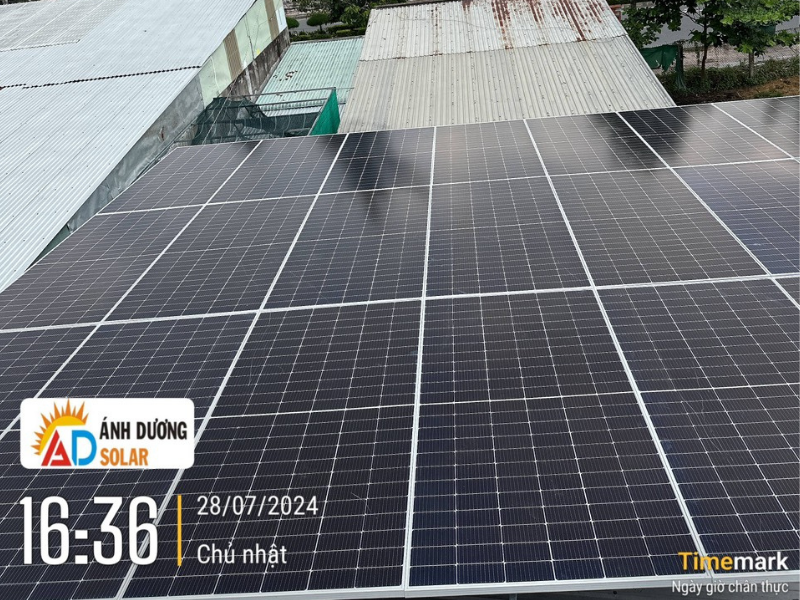 dau-tu-lap-dien-mat-troi-10kw-2