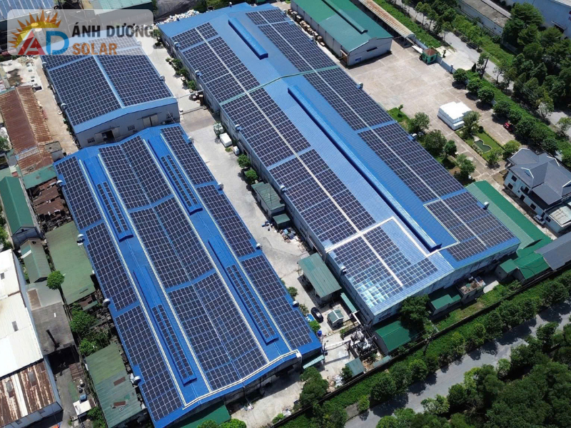 nghi-dinh-so-135-2024-nd-cp-1