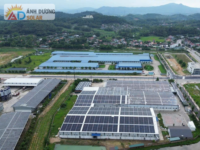 chinh-sach-dien-mat-troi-2025-1