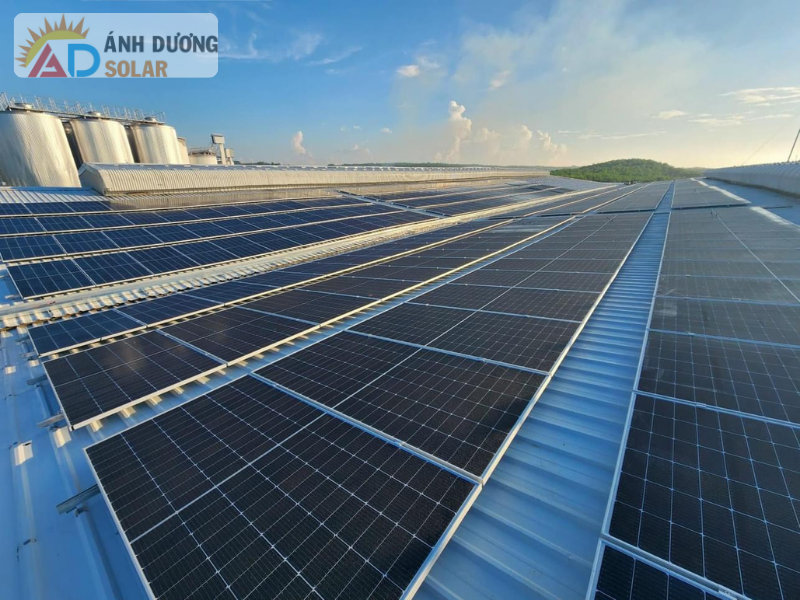 cong-ty-lap-dat-dien-mat-troi-uy-tin