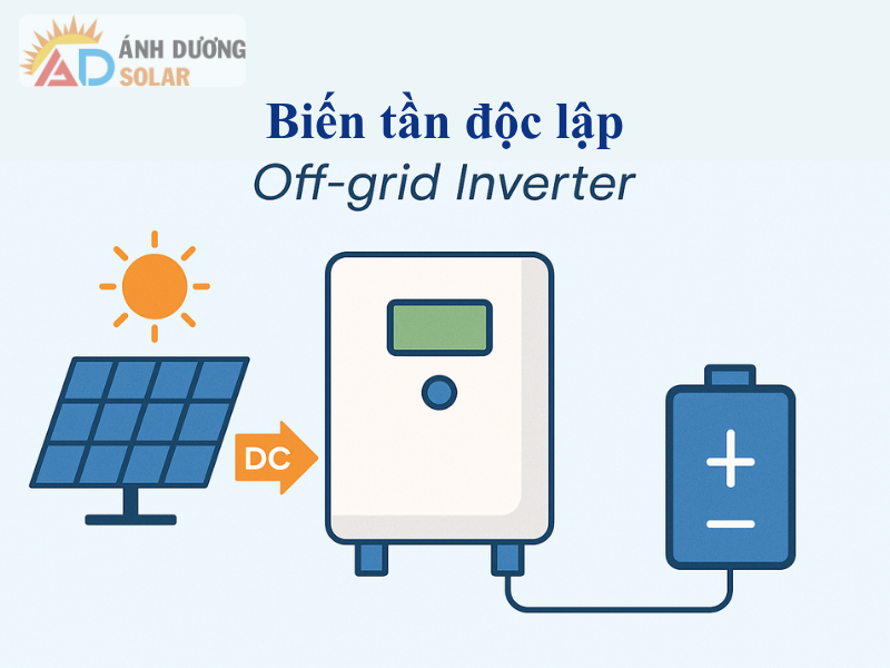 bien-tan-hoa-luoi-va-doc-lap-2