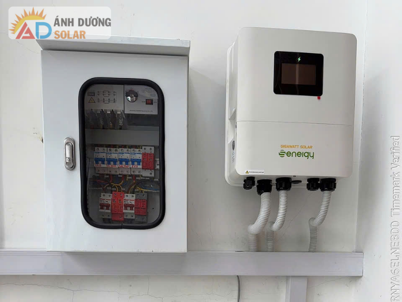 bien-tan-hoa-luoi-va-doc-lap-3