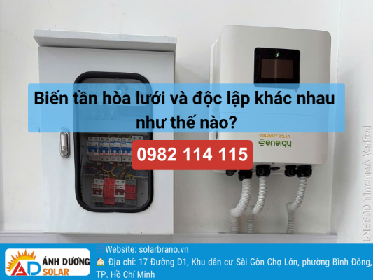 bien-tan-hoa-luoi-va-doc-lap-banner