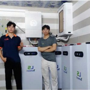 du-an-20kwp-luu-tru-80kwh-tai-cao-lanh-dong-thap-2