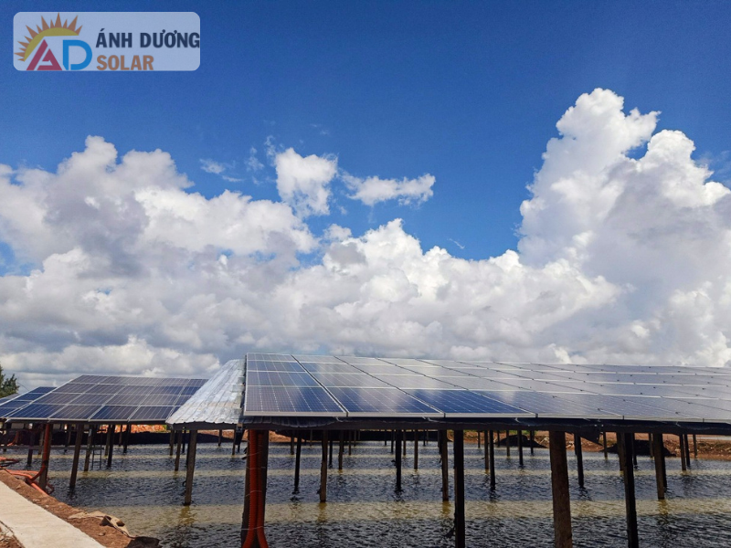 dien-mat-troi-o-kien-giang-2