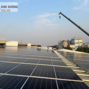 Dự án năng lượng mặt trời hòa lưới 300kWp Toyota Hải Dương