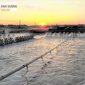 du-an-dien-mat-troi-200kwp-nuoi-tom-ben-tre