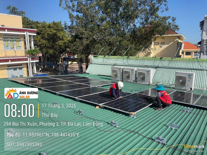 du-an-dien-mat-troi-chuoi-bach-hoa-xanh-18