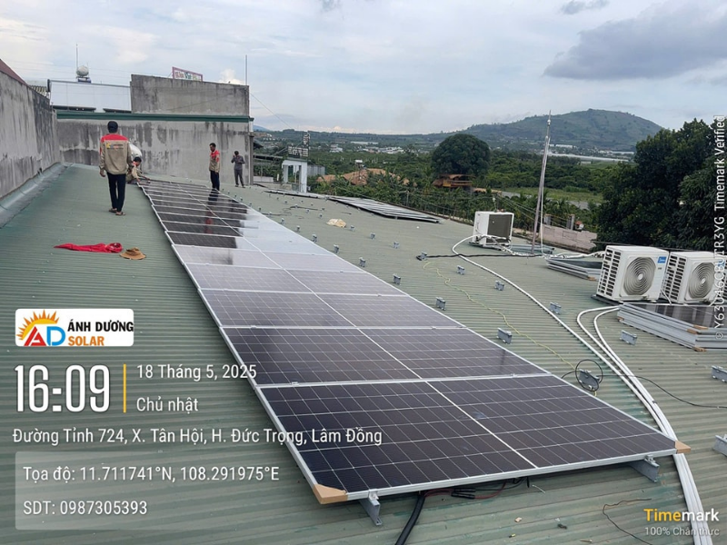 du-an-dien-mat-troi-chuoi-bach-hoa-xanh-20