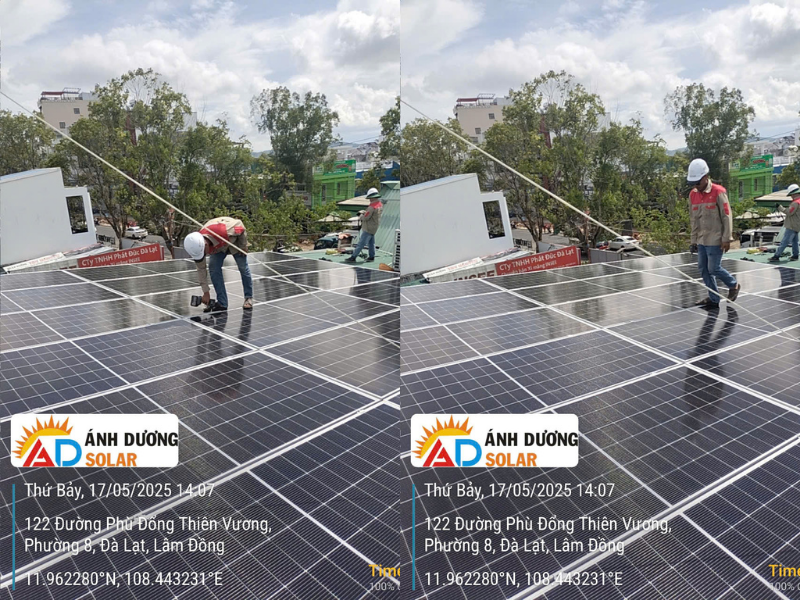 du-an-dien-mat-troi-chuoi-bach-hoa-xanh-7