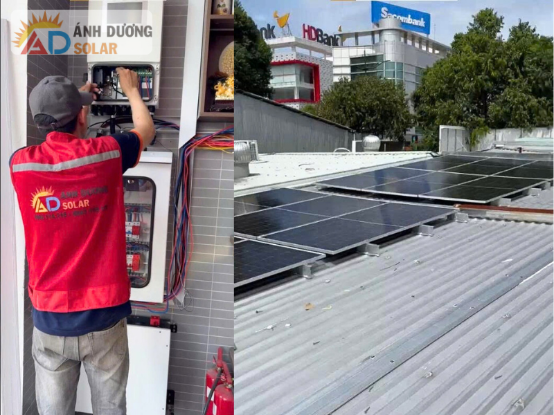 du-an-dien-mat-troi-chuoi-mi-cay-yagami-4