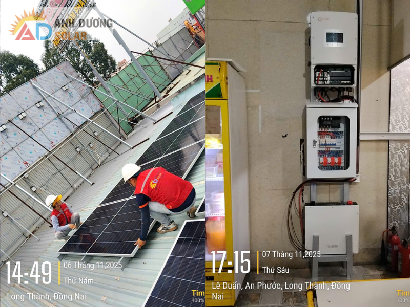 du-an-dien-mat-troi-chuoi-mi-cay-yagami-6