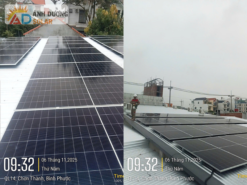 du-an-dien-mat-troi-chuoi-mi-cay-yagami