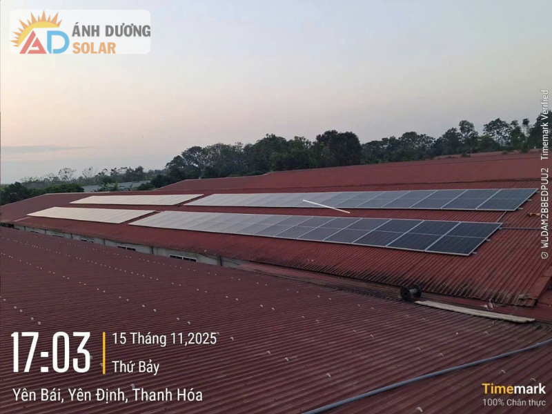 dien-mat-troi-hoa-luoi-la-gi-1