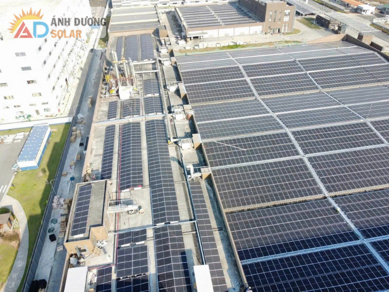 dien-mat-troi-hoa-luoi-la-gi-2