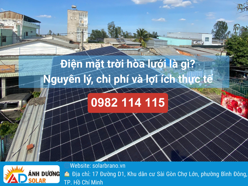 dien-mat-troi-hoa-luoi-la-gi-banner