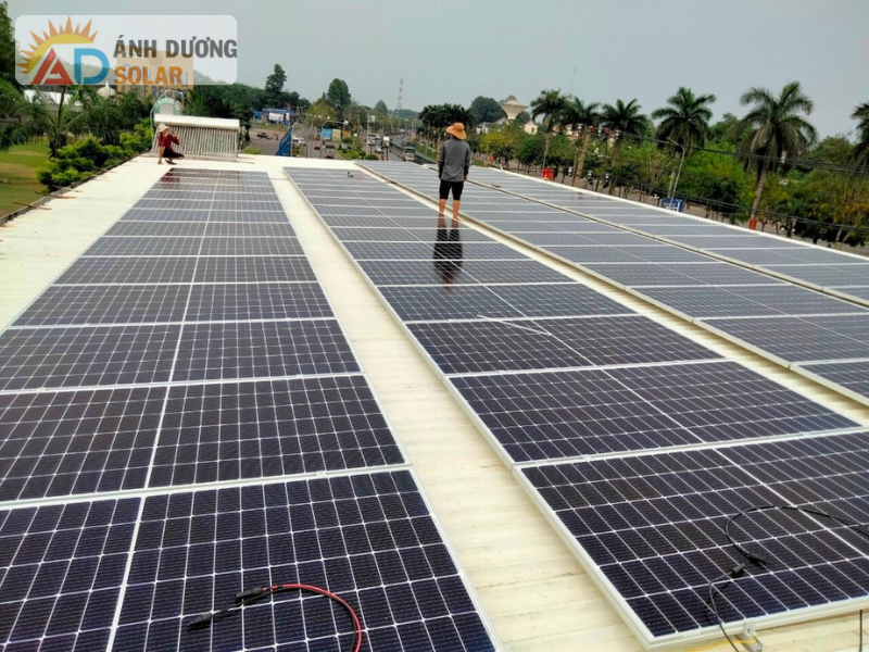 dien-mat-troi-hoa-luoi-la-gi