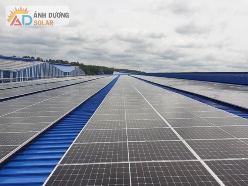 du-an-dien-mat-troi-1-2mwp-cong-ty-tnhh-sunny-viet-nam