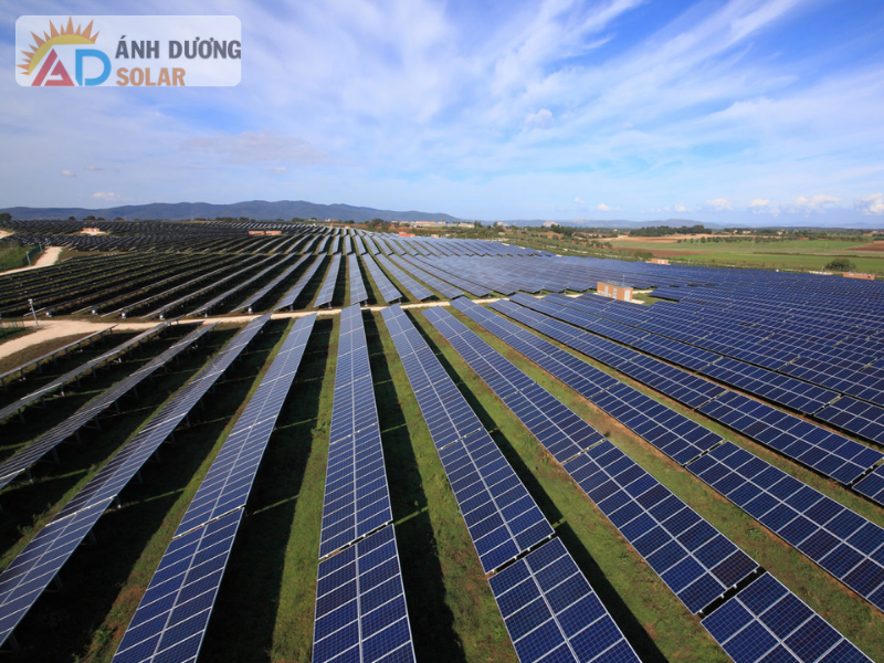 gia-pin-mat-troi-tang-dot-bien