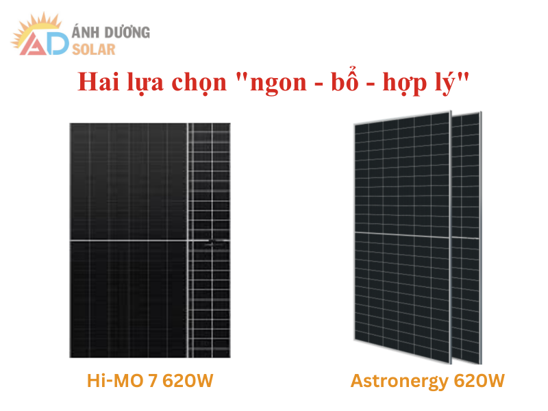 so-sanh-hi-mo-7-620w-va-astronergy-620w-3