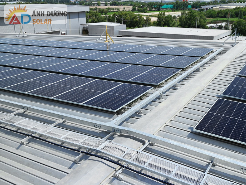 so-sanh-pin-sunpower-645-va-tcl-625