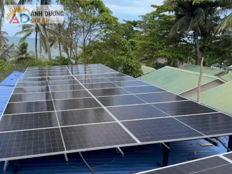 du-an-70-kw-luu-tru-ap-cao-vida-loca-phu-quoc