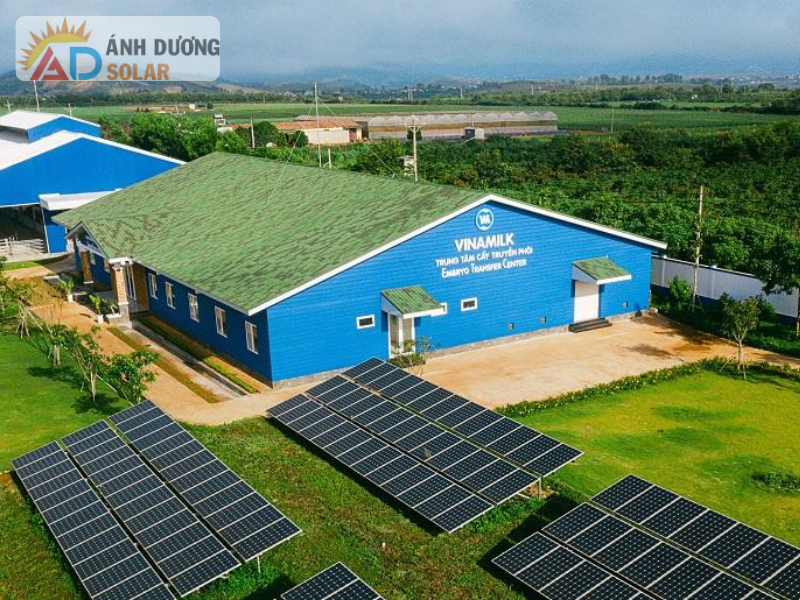 dien-mat-troi-doanh-nghiep-gia-bao-nhieu
