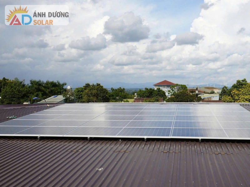 khao-sat-dien-mat-troi-tan-noi-1