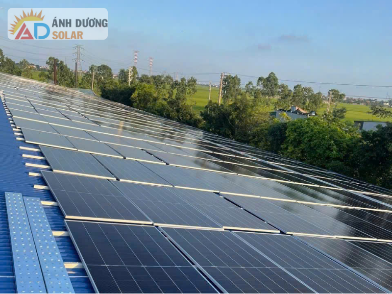 nghi-dinh-so-133-2026-nd-cp-2